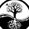 indranath profile image