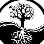 indranath profile image