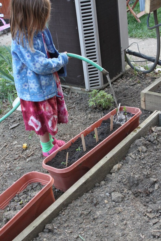 Container gardening is another way of giving a child a small garden plot to work with.