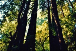 http://s4.hubimg.com/u/6348647_f248.jpg
