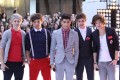 One Direction Doll And One Direction Barbie Dolls