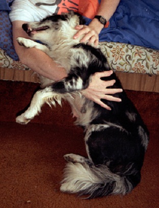 Pets Accept us Regardless of Who we Are