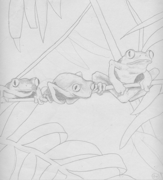 Tree Frog Trio 10 x 10" Pencil
