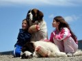 Hotel for Dogs Movie Review