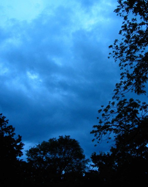 The coming storm turned the whole sky a deep blue and the wind that followed was unprecedented and down right scary. 