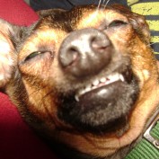 worddsplaytoday profile image