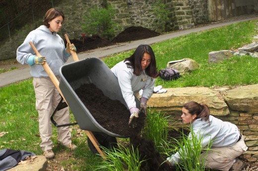 Teens that enjoy working outside can consider a career in landscaping, floral design, horticulture, farming, etc.