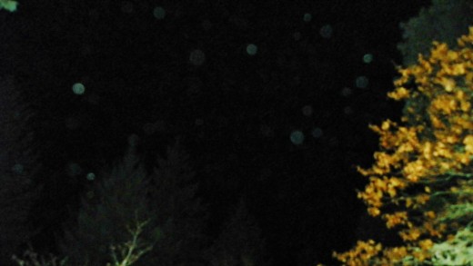Busy night sky at Oregon Orb House.