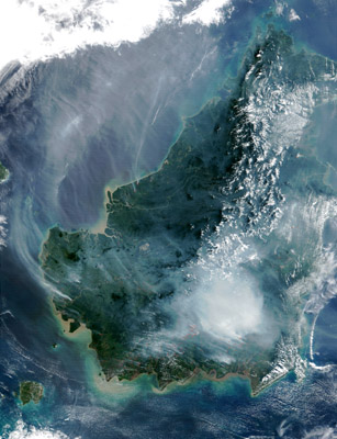 Peat swamp forests burning on island of Borneo, Malaysia. When peat swamp forests are deforested, the land dries up and becomes prone to flooding and fire.