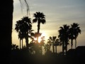 Palm Springs is One of My Favorite Destinations in the Sunny California Desert With so Many Great Accommodating Villas