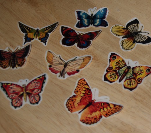 Trimmed butterflies. Although the butterflies could have been trimmed right up to their edge, the author prefers leaving a small amount of the white tissue paper as a border.