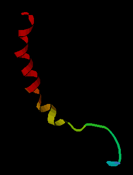 NMR model of neuropeptid  Y structure, Created by S. J&auml;hnichen using KiNG kinemage
