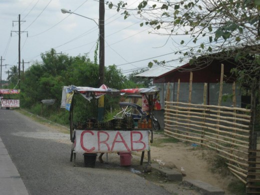 River crabs at Lubao, Pampanga