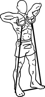 Resistance band upright rows.