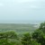Looking towards the mouth of the Daintree River Looking towards the mouth of the Daintree River