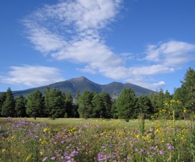 There's a lot to like about Flagstaff