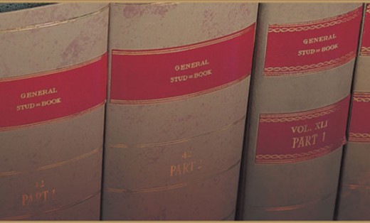 Original Weatherbys stud books