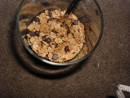 Granola, raisins and a few chocolate chips make a great afternoon snack.