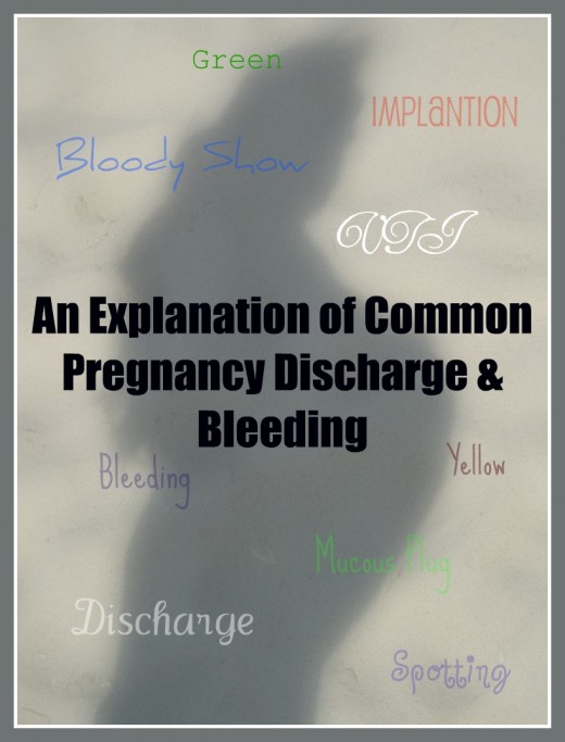 An Explanation of Bleeding & Spotting During Pregnancy ...