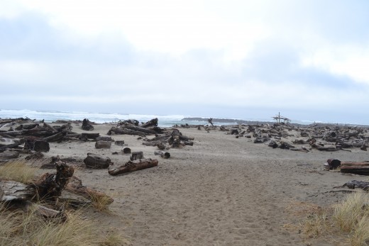 Beach Walking Path