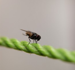 https://usercontent1.hubstatic.com/6417388_f260.jpg