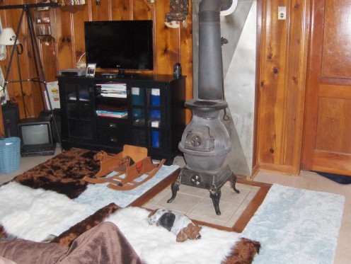 Little Wood Stove and my mess Free Doggie