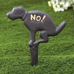 https://usercontent1.hubstatic.com/6420988_f260.jpg