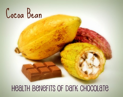 Dark Chocolate - Cocoa Bean