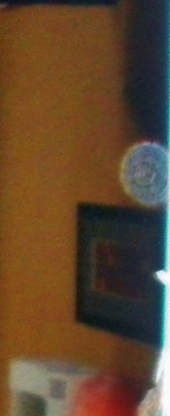 Uninvited Guest: Party Orb photographed indoors without flash the night of March 31. A special friends birthday party.