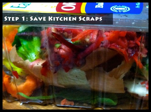 Step 1: Save Kitchen Scraps