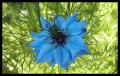 Learn to be Happy - 4 Great Ways to be Happy