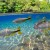 river fish river fish
