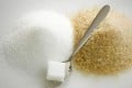 Which Sugar Is Better For You? Sucrose or Fructose?