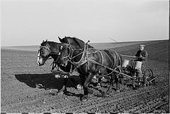 A TEAM OF MULES, TO SOME EARLY FARMERS, WOULD BE ANY GAS-POWERED TRACTOR ANY DAY.