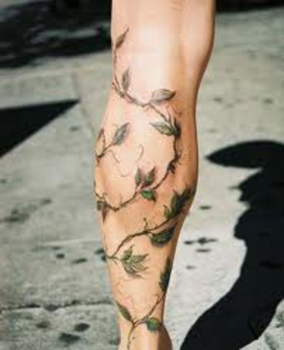 Vine Tattoos And Vine Tattoo Meanings-Vine Tattoo Designs And Vine
