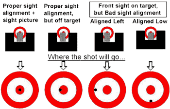 Sight Alignment and Sight Picture