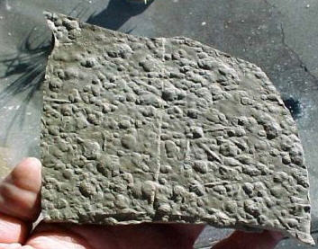 Raindrops fossil