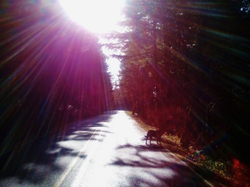Otis enjoys the 'light' of God