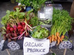 Going Organic: Benefits And Facts About Organic Foods