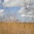 Beautiful golden and blue landscape during the dry season, , Litchfield National Park, Northern Territory, Australia. Beautiful golden and blue landscape during the dry season, , Litchfield National Park, Northern Territory, Australia.