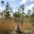 Small termite mound, Litchfield National Park, Northern Territory, Australia. Small termite mound, Litchfield National Park, Northern Territory, Australia.