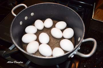 Place a single layer of eggs in the pot.