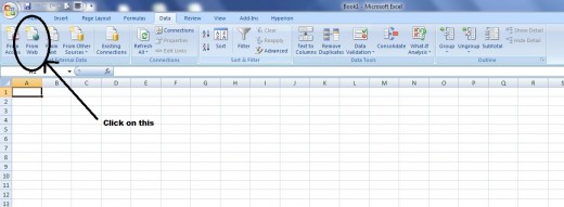 Click on the data tab, then click on the "From Web" option.