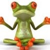 frogpetals profile image