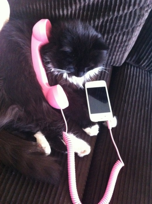 Lola on the Phone