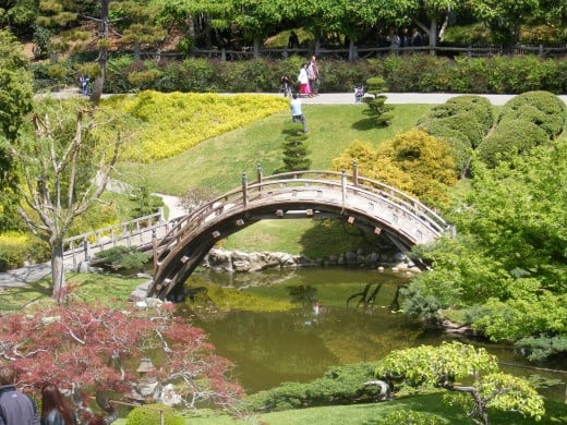 Japanese garden at the Huntington Library.