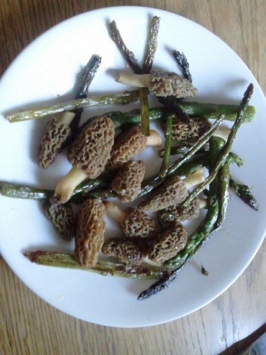 Morels sautéed and served with foraged asparagus