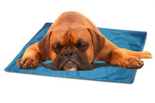 Cooling Pet Cushion Pad automatically re-charges itself  weight activated 
