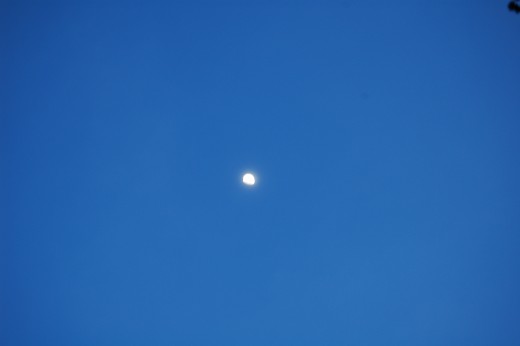 Moon