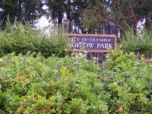Bigelo Park